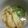 まな姫's cooksnap of when they made 超簡単★体に優しく沁みるにゅうめん★.