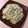 csi47usa's cooksnap of when they made お茶漬けの素で簡単！和風卵クリームパスタ.