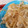 ゆ☆ゆ☆'s cooksnap of when they made 玉ねぎとえのきのバター醤油炒め.