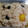 クックLJ2W4Q☆'s cooksnap of when they made リメイク♬お正月黒豆煮deおこわを炊く✿.