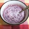 ☆yopipi's cooksnap of when they made 簡単ブルーベリーヨーグルトジェラート.
