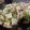 no1642's cooksnap of when they made 白菜と豚肉の炒め.
