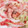 まるちゃん's cooksnap of when they made 白菜 豚肉 鯖の水煮缶 ミルフィーユ鍋♡.