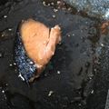 もんす。's cooksnap of when they made お弁当に☆鮭照り焼きゴマゴマ.