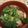 Nana983's cooksnap of when they made 心も体もぽっかぽか*絶品いわしのつみれ汁.