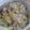 クック0U3J6Q☆'s cooksnap of when they made ♥白菜と豚挽き肉の中華あんかけご飯♥.
