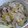 クック0U3J6Q☆'s cooksnap of when they made ♥白菜と豚挽き肉の中華あんかけご飯♥.