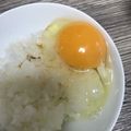 みりん調味料's cooksnap of when they made 簡単！岩塩とめんつゆの卵かけご飯.