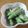 蒼空ねこ's cooksnap of when they made スナップえんどうの胡麻マヨ和え.