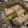 お願いひつじ's cooksnap of when they made 冬ねぎの塩焼き、甘くてトロトロ♪.