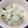せいたんまま's cooksnap of when they made 白だしで♪簡単に美味しい七草粥♡.