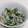 ぽてちょママ's cooksnap of when they made 1分で出来る!!ネギとしらすのごま油かけ.