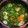 ♡yummy♡'s cooksnap of when they made とろ～り☆春の七草あったか和みスープ.