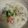 Lake☆Erie's cooksnap of when they made クリームシチュー.