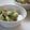 まろんかふぇ's cooksnap of when they made 白菜のスープ野菜.