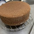 クックJCE3NL☆'s cooksnap of when they made シュクレでふわふわ軽いココアスポンジ.