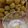 ☆mamingo☆'s cooksnap of when they made サルナシ酒・・・美味しい果実酒です.