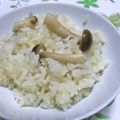 Susie845's cooksnap of when they made きのこだけごはん.