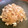 クック15FFG6☆'s cooksnap of when they made もやしと玉ねぎの中華炒め.