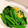 クック9VXDAD☆'s cooksnap of when they made 旬の柚子香る☆ほうれん草のおひたし.