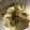 クックLBOOHD☆'s cooksnap of when they made 白菜とりんごと干し柿のサラダ.