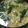 ヨシヨッシー's cooksnap of when they made ニラと卵のかき玉風スープ.