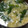 ヨシヨッシー's cooksnap of when they made ニラと卵のかき玉風スープ.