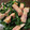 clover55's cooksnap of when they made 簡単 ほうれん草とベーコン炒め.