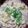 くぅ95021623's cooksnap of when they made 【15分】白だしと麺つゆで親子丼.