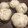 キラキラうさぎ's cooksnap of when they made お家で手軽に 本格豚まん.