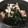 JA712A's cooksnap of when they made ほうれん草と海苔のおひたし.