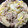 クック2H9MD0☆'s cooksnap of when they made 白菜と豚肉のクリーム煮.