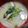松潤LOVE♥️♥️'s cooksnap of when they made 小松菜豆腐マッシュの味噌汁.