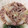 気まぐれご飯を作る人's cooksnap of when they made 牛肉と 長芋と 香菜の中華炒め.