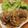 食いしん坊山ガール's cooksnap of when they made 旨味たっぷり☆きのこ煮込みハンバーグ.