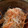 むちmuchiko's cooksnap of when they made ☺スモークサーモンとなますの簡単マリネ☺.