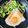 ねっちゃんっ's cooksnap of when they made ちくわde仕切り目玉焼き☆.