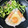 ねっちゃんっ's cooksnap of when they made ちくわde仕切り目玉焼き☆.
