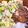 いっけっけ☆☆'s cooksnap of when they made 納豆とカリフローレのごまドレご飯.