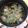 円街縁's cooksnap of when they made さば缶と薬味で簡単☆つけ蕎麦.