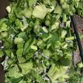 ぽんぽんぐ's cooksnap of when they made 本気で美味しい大根葉とじゃこ炒め.