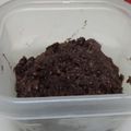 ムククック's cooksnap of when they made あずきの煮方と保存〜おしるこぜんざい.