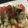クックQ1UMSY☆'s cooksnap of when they made ヨルダンのサラダ タブレ.