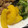 akizoo's cooksnap of when they made 鶏ささみとごろごろ野菜のマキシマム炒め.