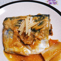 けんきゅうちゅう's cooksnap of when they made さばのみそ煮.