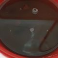 カクヨ's cooksnap of when they made 【農家のレシピ】田舎しるこのあんこ.
