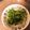 ☆ichika＊☆'s cooksnap of when they made ☺超簡単♪もう一品！材料自由な青菜炒め☺.