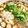 GreeN緑's cooksnap of when they made ダンナの鶏だんご.