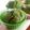 noamanma's cooksnap of when they made 和薫る☆サラダ油で作る抹茶小豆ケーキ.