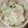 しまあか's cooksnap of when they made ご飯でつくる!七草粥.